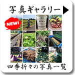 写真ギャラリー