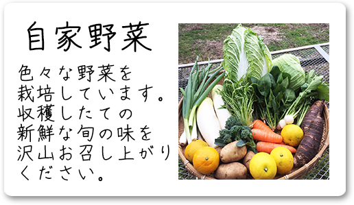 自家野菜