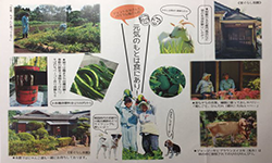 パンフレット画像